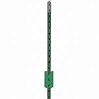 8 Foot Tee Fence Post Green TP125PGN080 by CMC Steel Southern Post Best Price