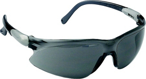 Viso Safety Glasses Smoke Frame 3000305 by Jackson Safety Best Price