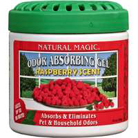 Natural Magic 14 Ounces Raspberry Odor Absorb Gel 9200 by Osmegen Best Price