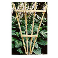 22 By 36 Wood Fan Trellis CCAFT36 by Lawson Products Best Price