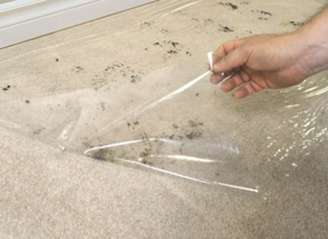 Carpet Shield Self Adhesive Carpet Mask CS24500 by Surface Shields Best Price