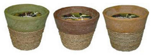 5 Inches Citron Pot Candle 50006 by Outdoor Interiors Best Price