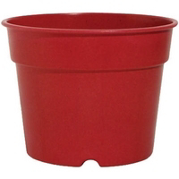 3 Inches Ruby Bio Planter BIO830103510 by Rush Creek Designs Best Price