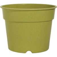3 Inches Peridot Bio Planter BIO830103514 by Rush Creek Designs Best Price