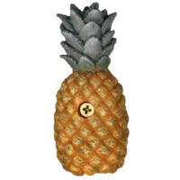 Pineapple House Charm HNC-125 by Companys Coming Best Price