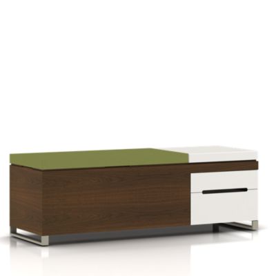  Cognita Storage Bench