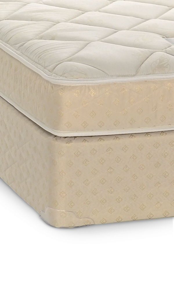 Comfy Cozy Twin Mattress Only