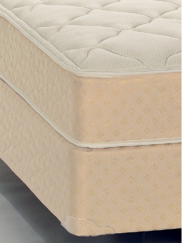 Graduate Series by Serta® Ivy League Queen Mattress Only 