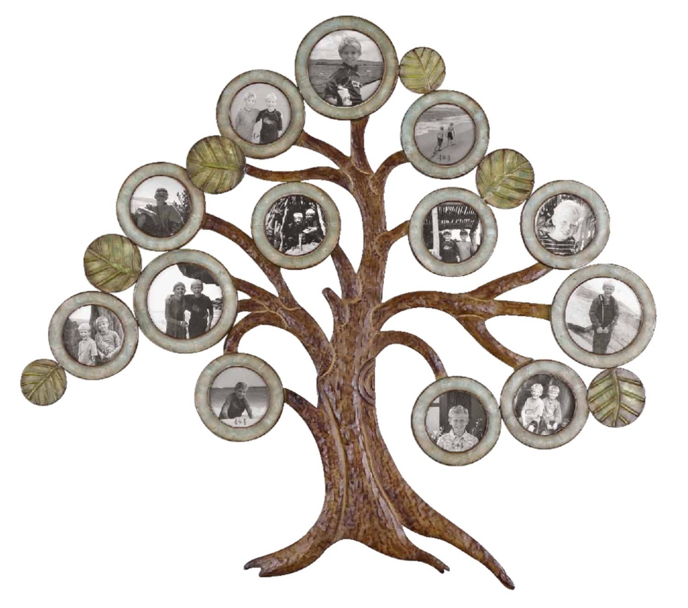 Maple Tree Photo Wall Collage
