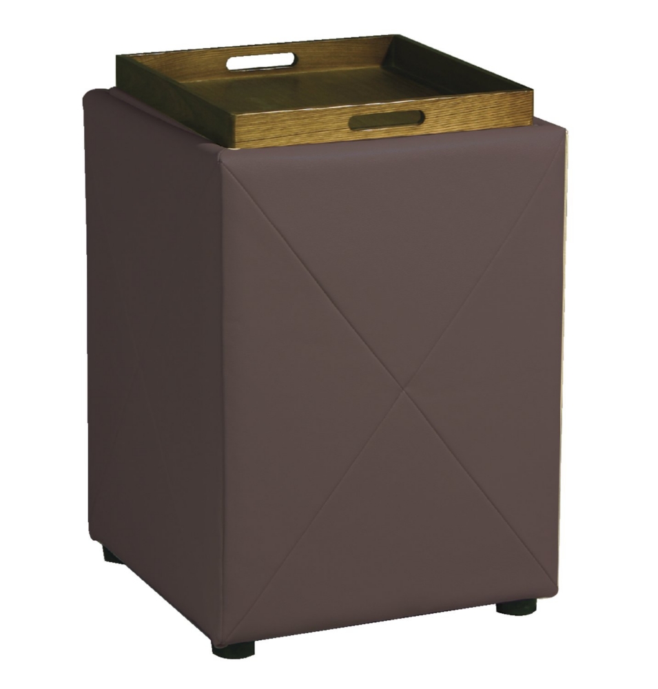 Avalon Leather Storage Cube-Dark Brown
