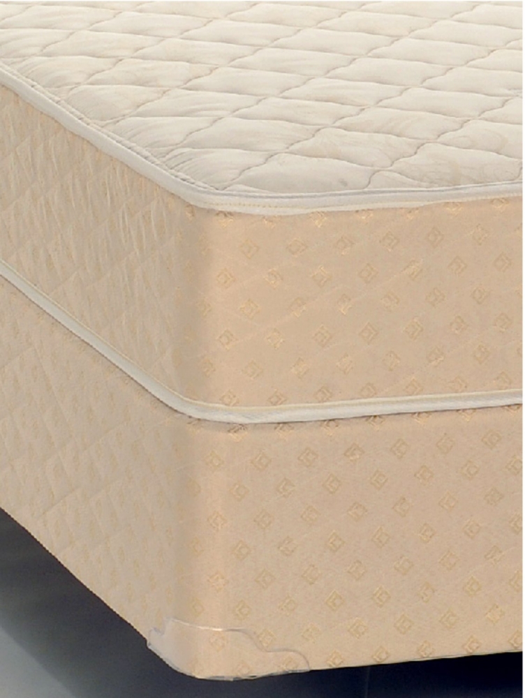 Graduate Series by Serta® Academic Queen Set with Regular Height Foundation