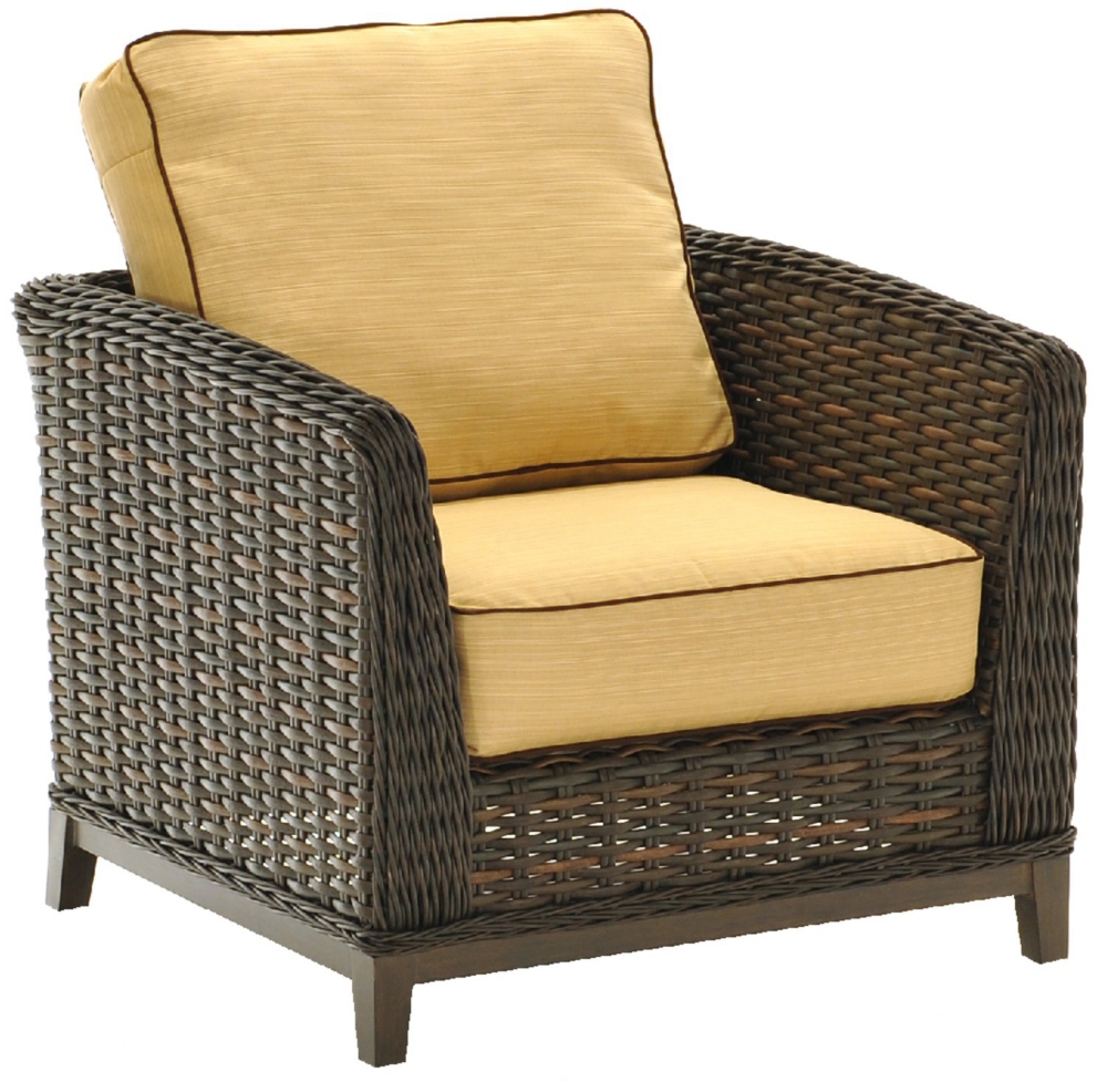 Catalina Lounge Chair and Cushion by Direct Design