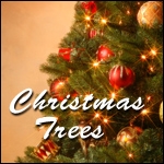 Christmas Trees