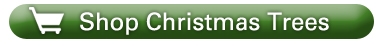 Shop Christmas Trees