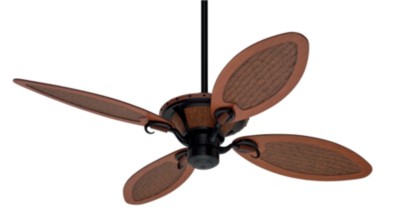 Royal Palm®-23895