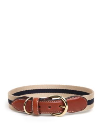 Surcingle Dog Collar