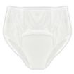 Female Washable Absorbent Briefs