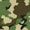 Camouflage