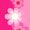 PinkFlowers