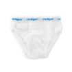 Rodger Wireless Brief
