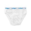 Rodger+Wireless+Brief