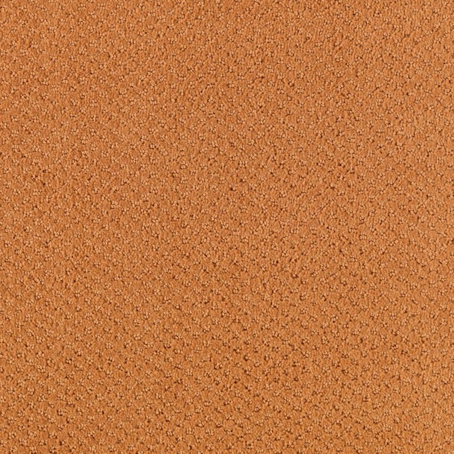 Intriga Colours - Bright Pumpkin