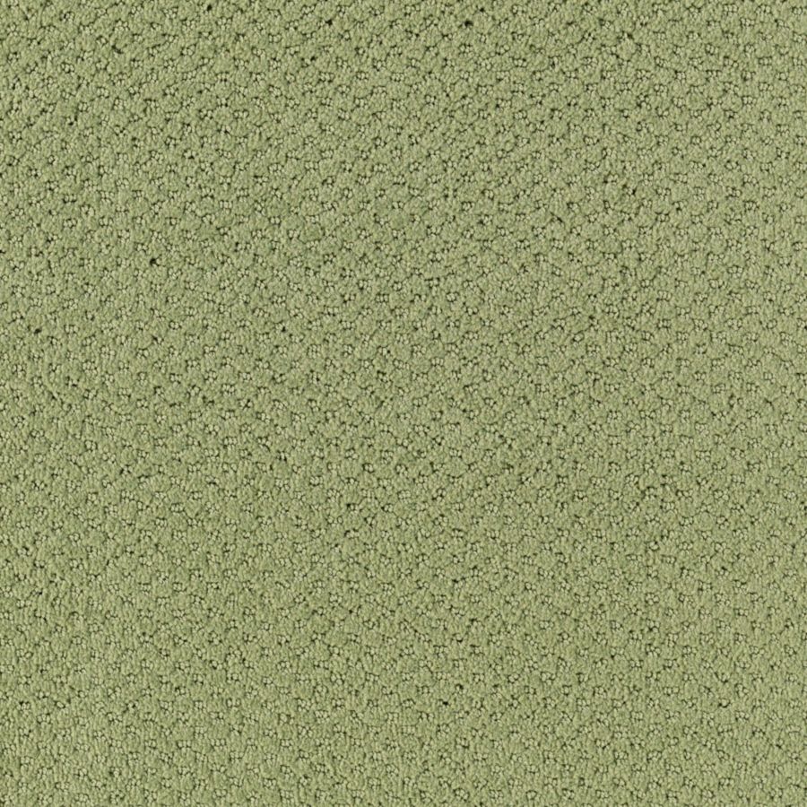 Intriga Colours - Aloe
