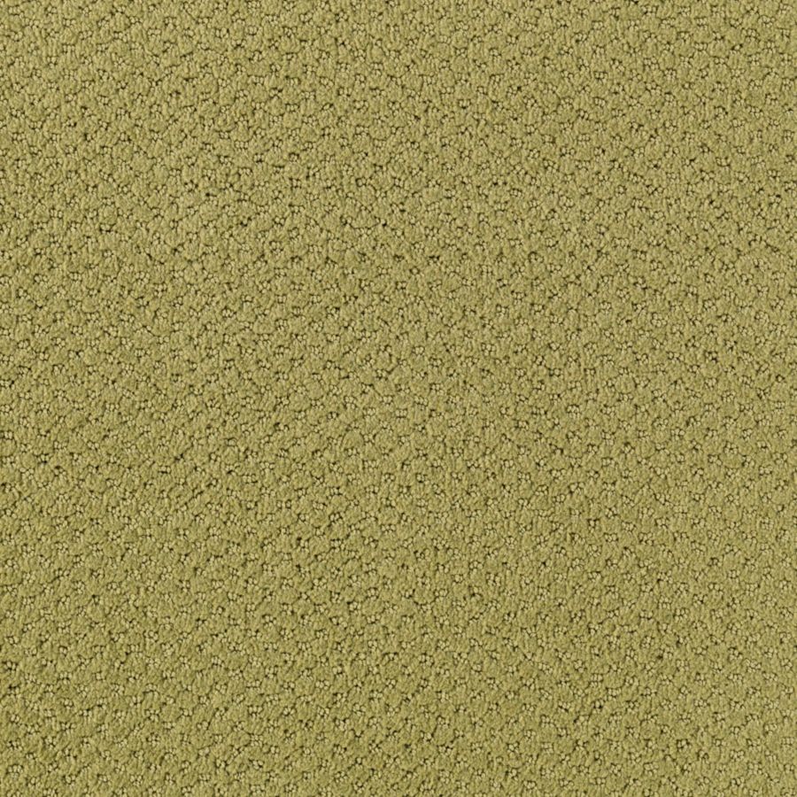 Intriga Colours - Cricket
