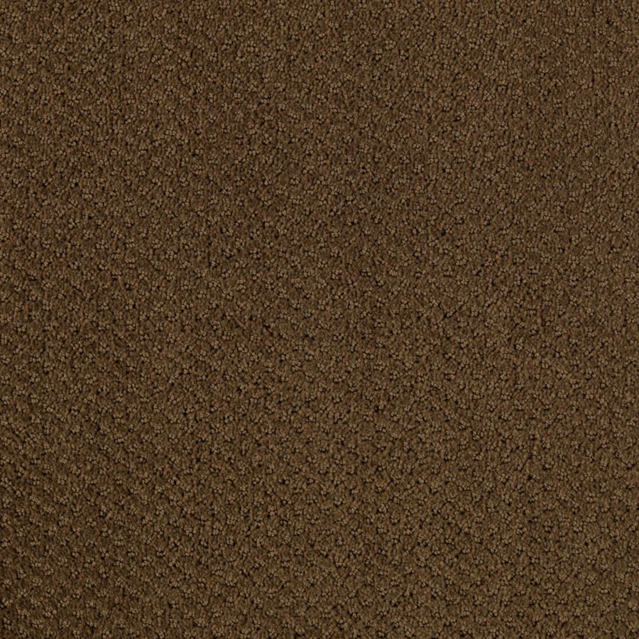 Intriga Colours - Avacado Fields