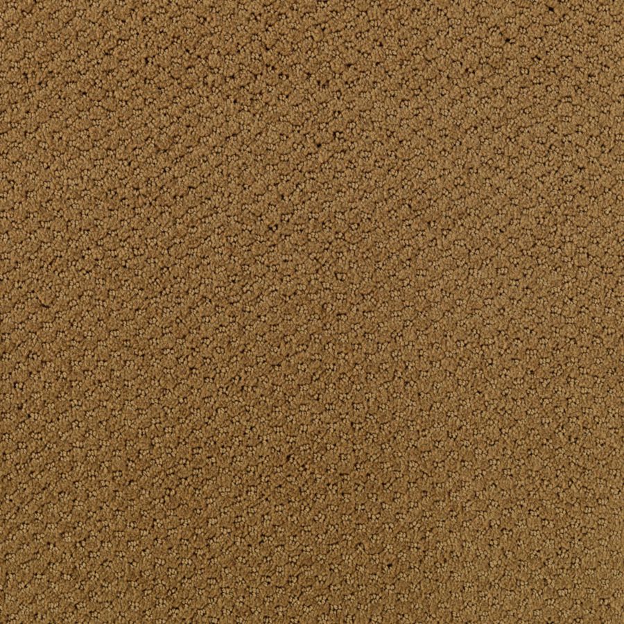 Intriga Colours - Bullion