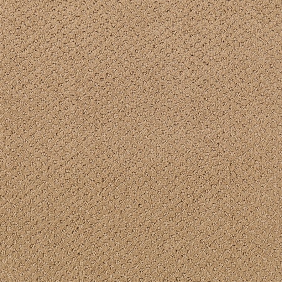 Intriga Colours - Dried Peat