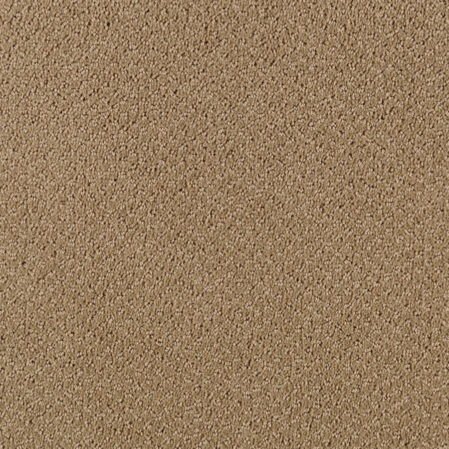 Karastan Carpet Carpet Brands Carpet Stores Carpet Rite Rug