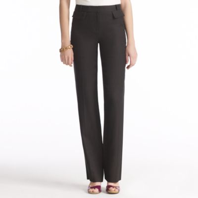 stargazer pant