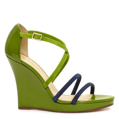 vanessa
