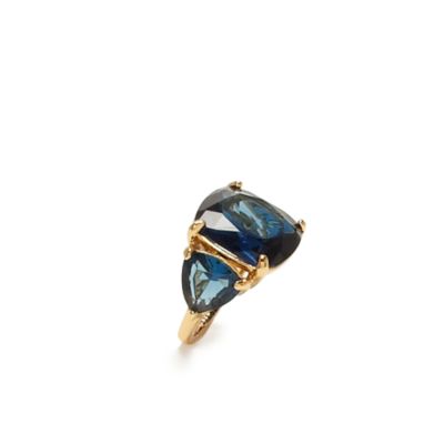 year of color december ring