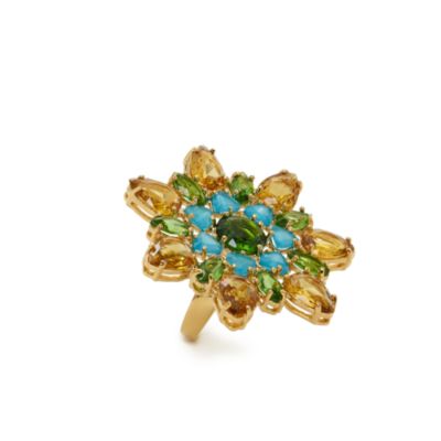 solarium ring