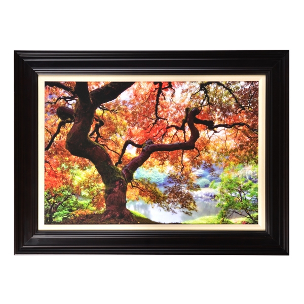  Magical Forest Framed Art Print