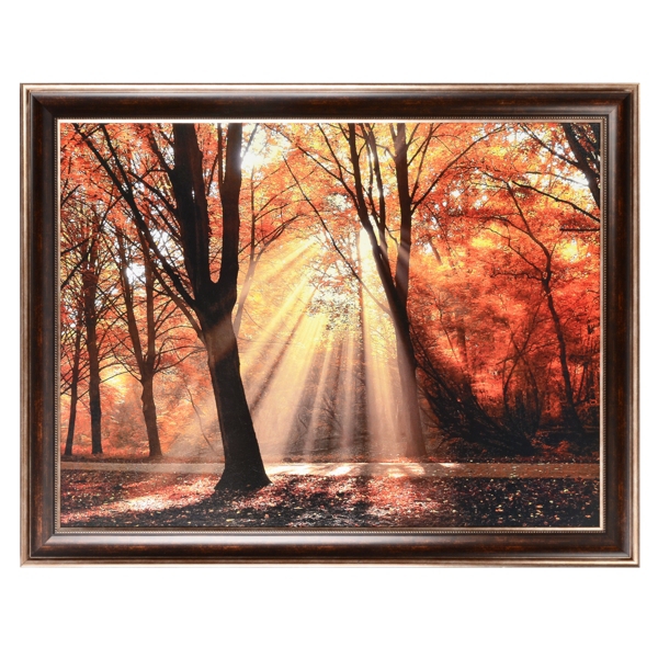  Dressed To Shine Framed Art Print