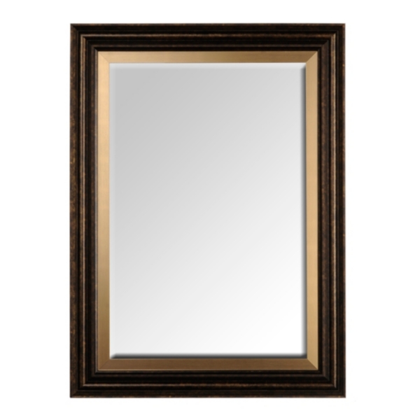 Dark Bronze & Gold Framed Mirror, 33x45 Kirklands