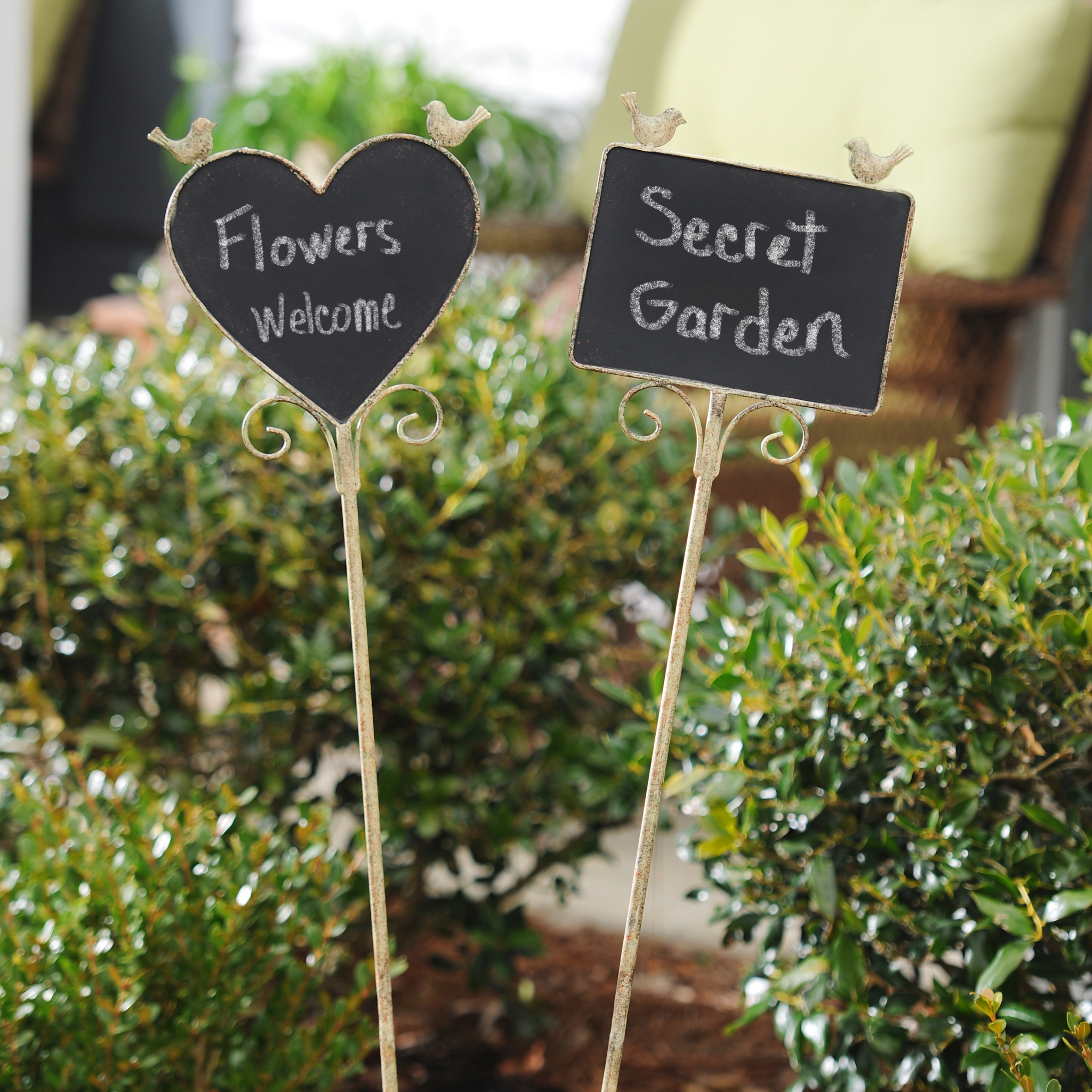 Chalkboard Lawn Stakes Kirklands