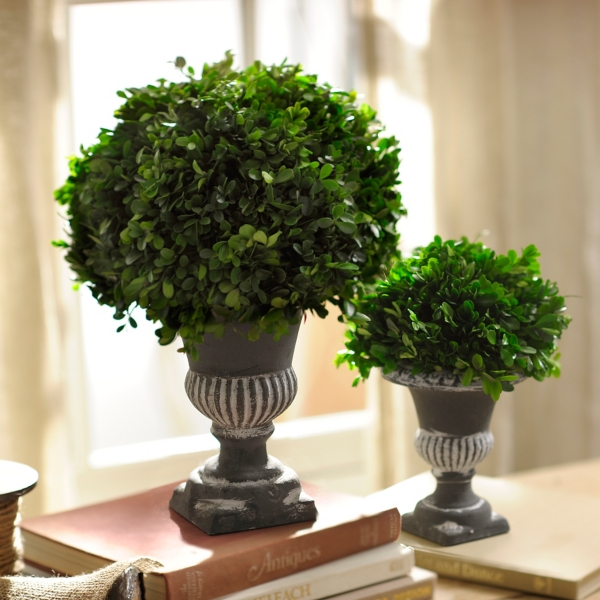 Preserved Boxwood Topiary, 17 in.
