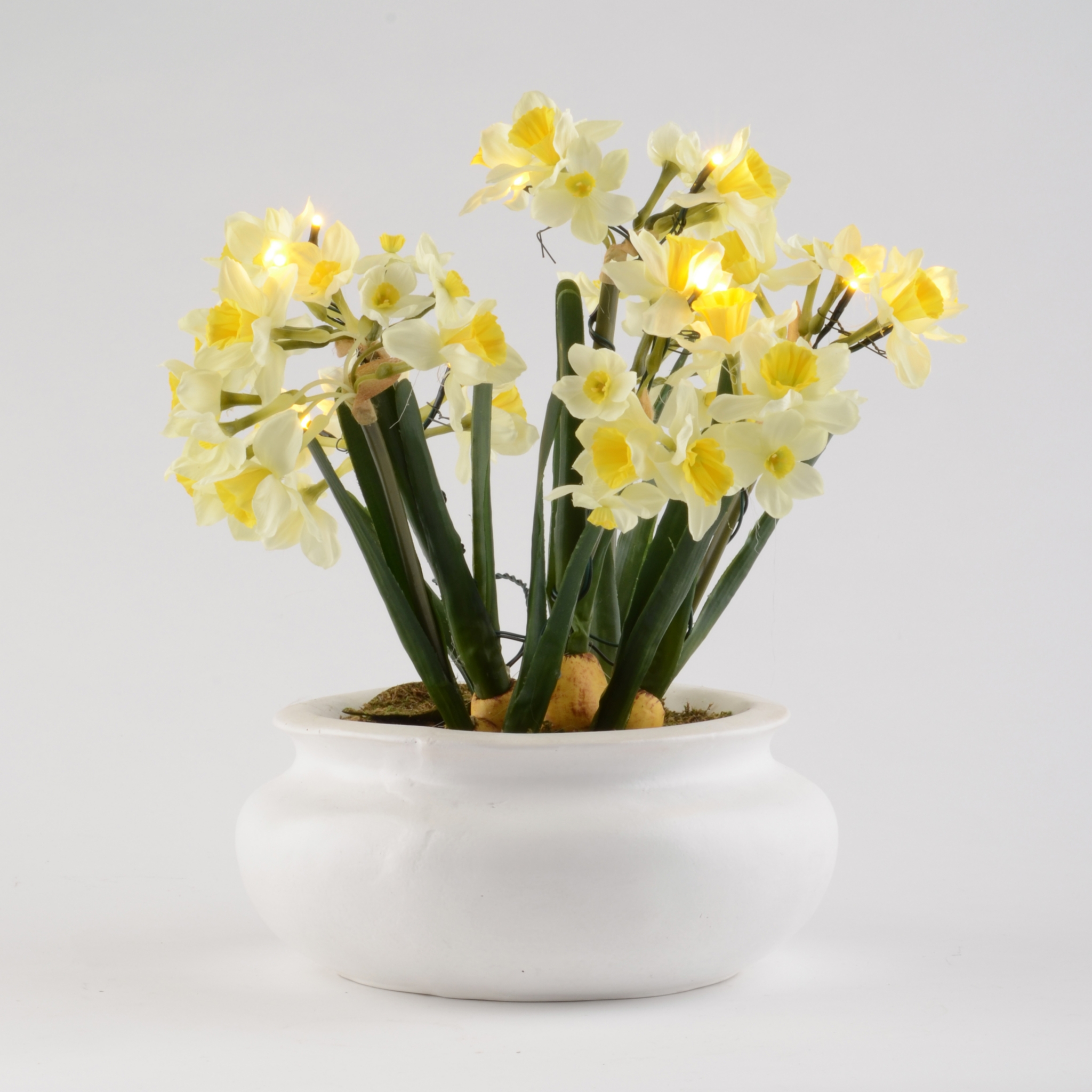 PreLit Potted Daffodil Arrangement with Timer Kirklands