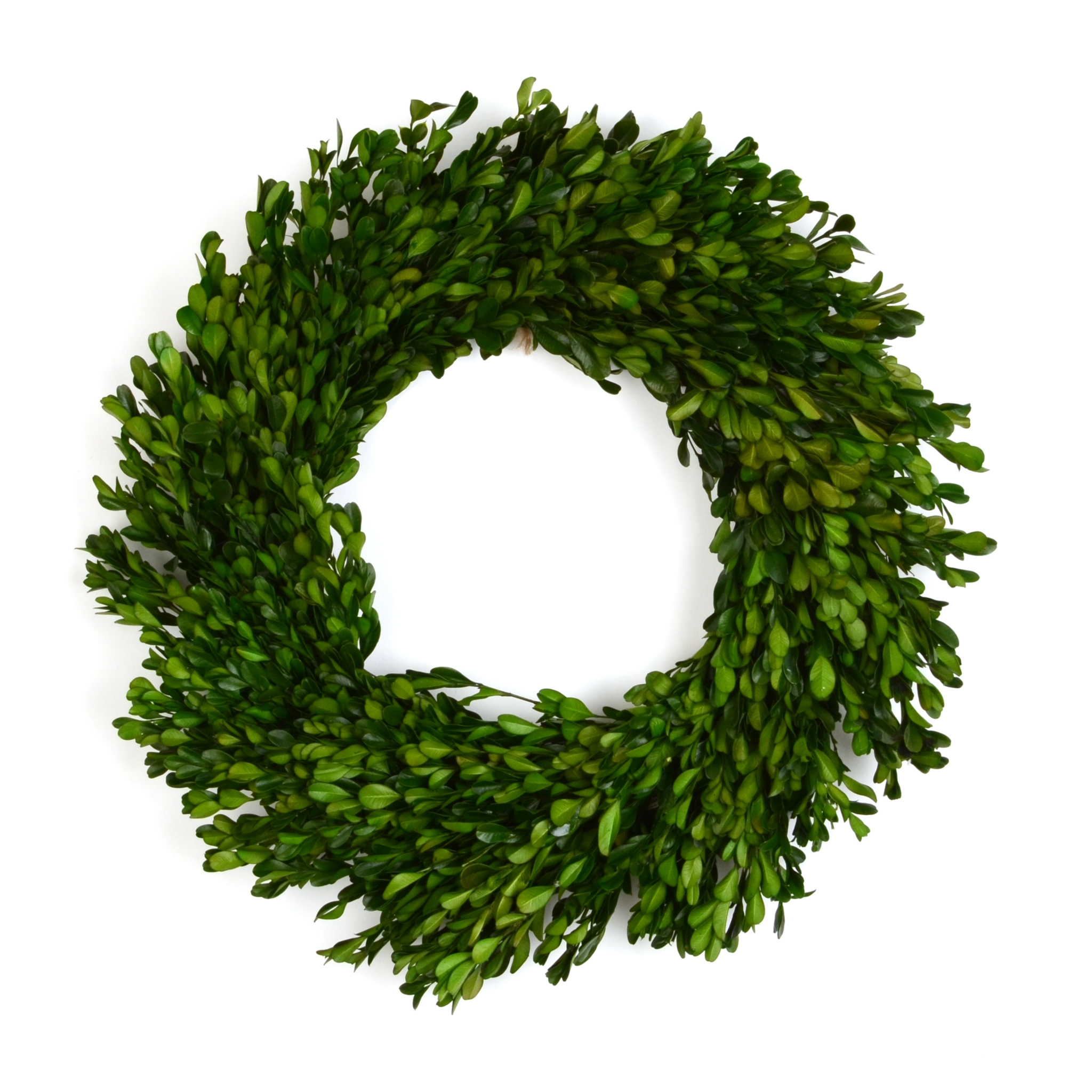 Preserved Boxwood Wreath, 17 in. Kirklands