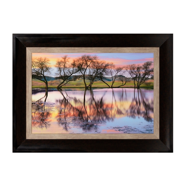Lake Reflections Framed Art Print Kirklands