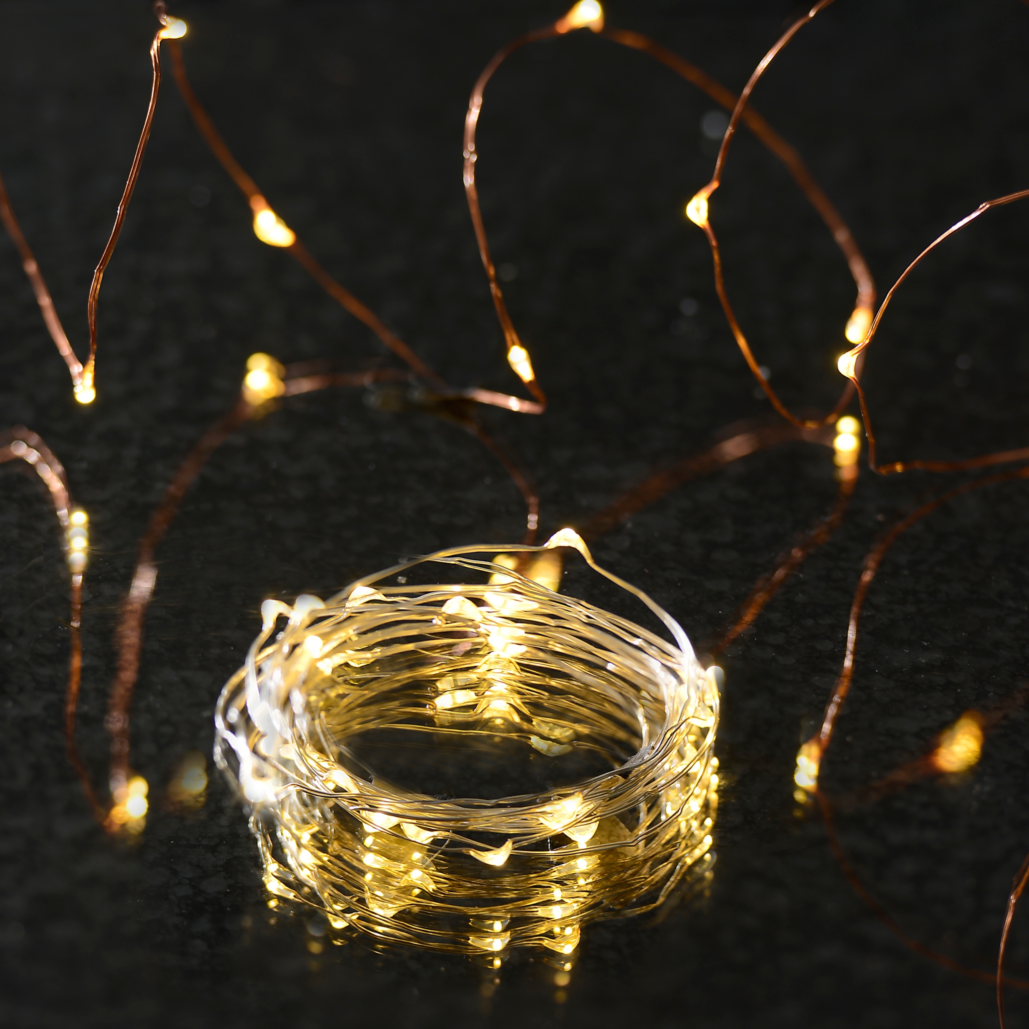 Silver Wire LED String Lights Kirklands