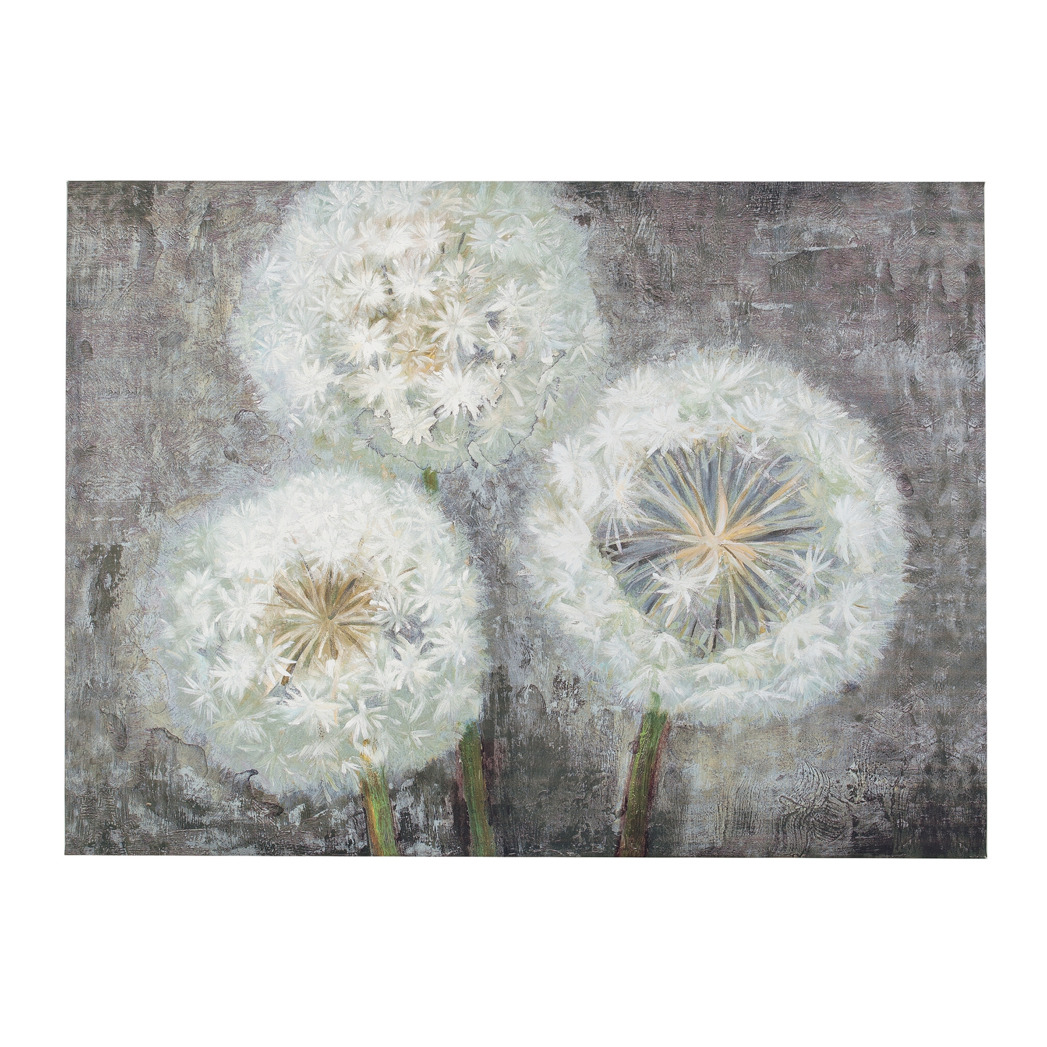 Three Wishes Canvas Art Print Kirklands