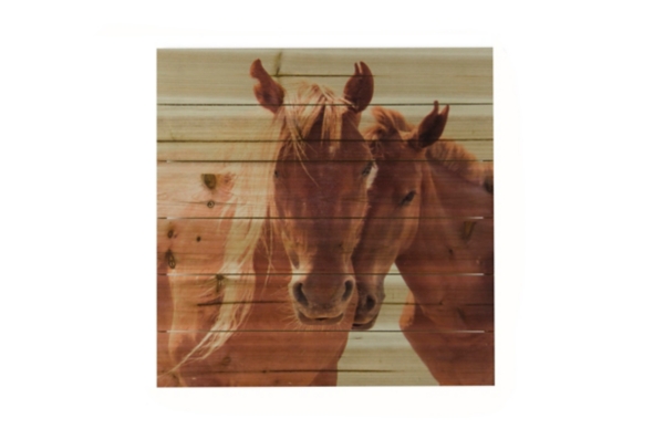 Horses Snuggling Wood Art Print