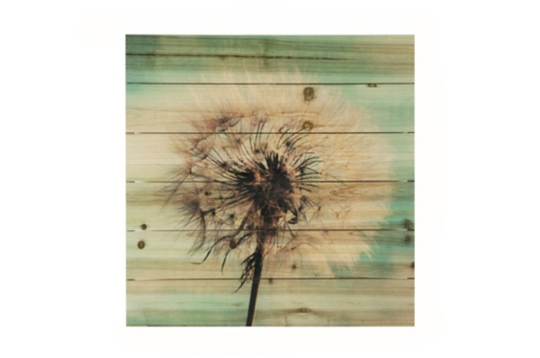 Dandelion Wishes Wood Art Print