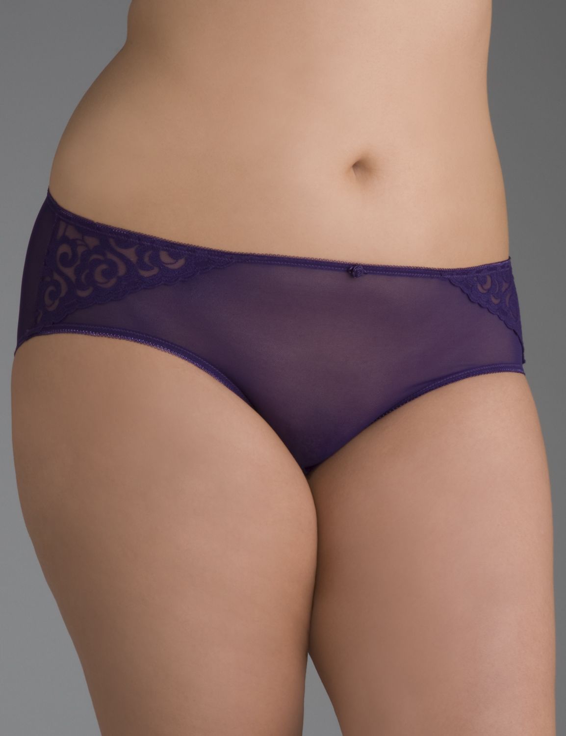 Embroidere mesh hipster::Panties~~hipsters