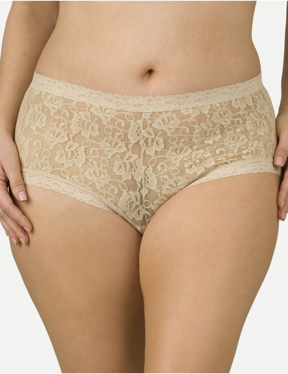 Sheer lace boyshort → $9.37